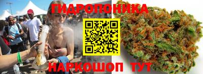 apvp Гусиноозёрск