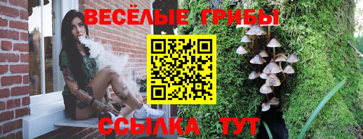 Галлюциногенные грибы Cubensis  Вход с VPN  Кузнецк 