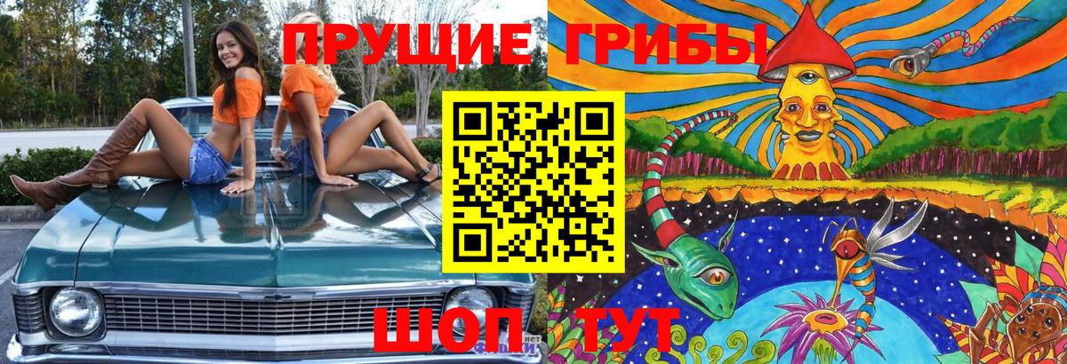 Галлюциногенные грибы ЛСД Кузнецк