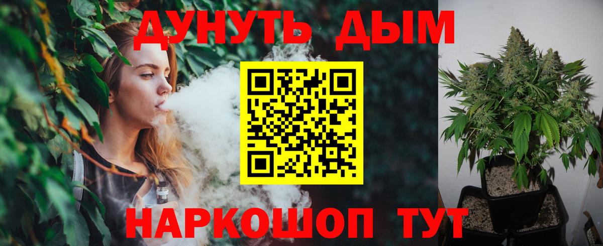 Конопля гибрид  Кузнецк  Бошки Шишки сатива  Каннабис семена 